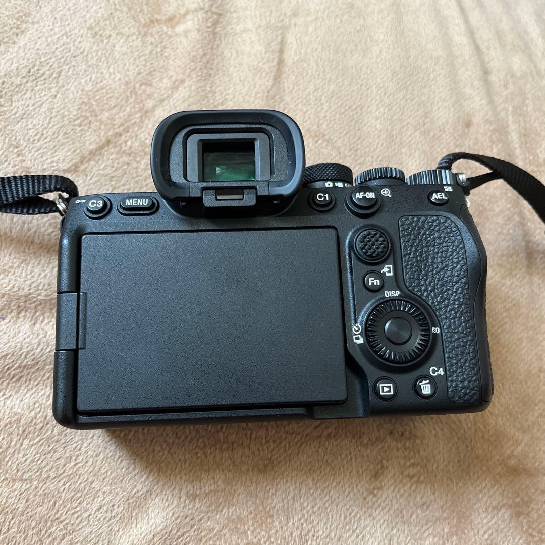 Sony Mirrorless Interchangeable Lens Cameras 7