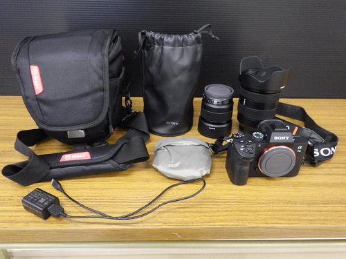 Sony Mirrorless Interchangeable Lips 7 Iii
