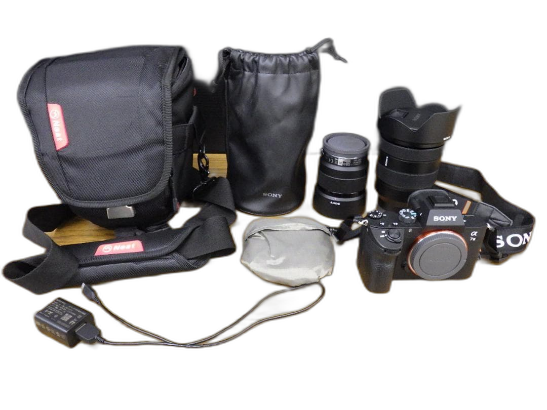 Sony Mirrorless Interchangeable Lips 7 Iii