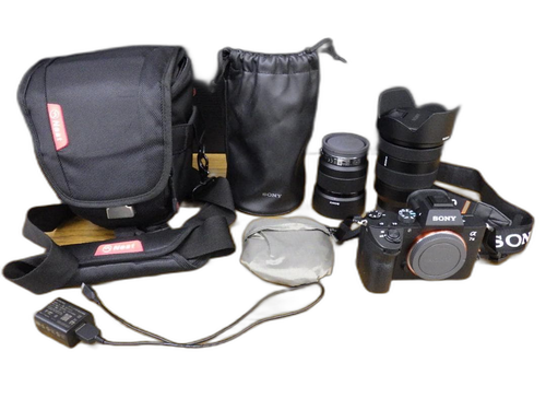 Sony Mirrorless Interchangeable Lips 7 Iii