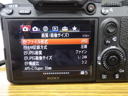 Sony Mirrorless Interchangeable Lips 7 Iii