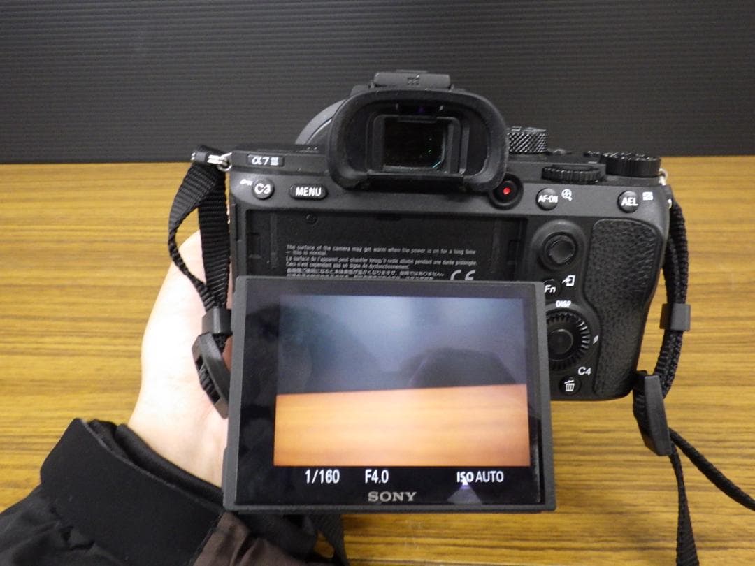 Sony Mirrorless Interchangeable Lips 7 Iii
