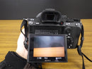Sony Mirrorless Interchangeable Lips 7 Iii