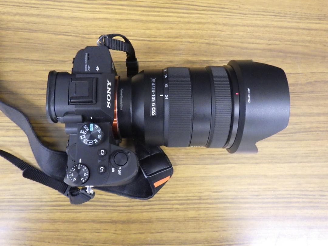 Sony Mirrorless Interchangeable Lips 7 Iii