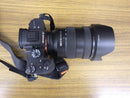 Sony Mirrorless Interchangeable Lips 7 Iii