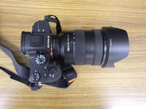 Sony Mirrorless Interchangeable Lips 7 Iii