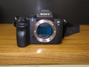 Sony Mirrorless Interchangeable Lips 7 Iii