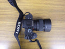 Sony Mirrorless Interchangeable Lips 7 Iii