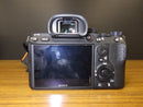 Sony Mirrorless Interchangeable Lips 7 Iii