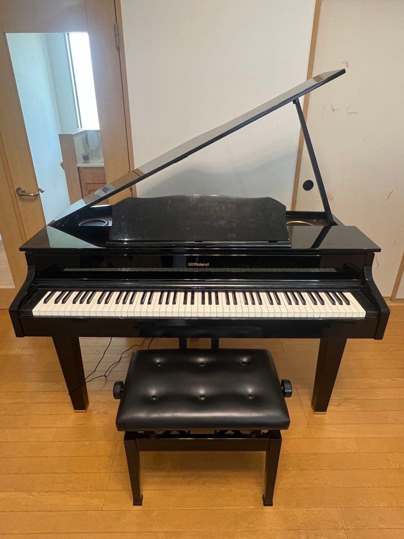 Roland Keyboard Electronic Piano Gp607