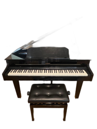 Roland Keyboard Electronic Piano Gp607