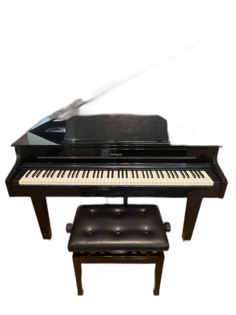 Roland Keyboard Electronic Piano Gp607