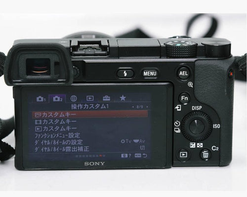 Sony Mirrorless Interchangeable Lips 6100