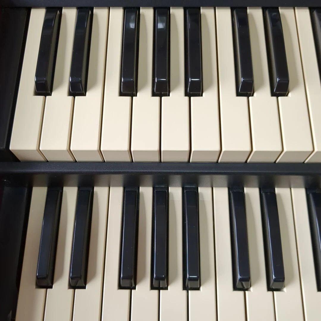 Electronic Organs Hammond Sk2