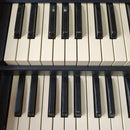 Electronic Organs Hammond Sk2