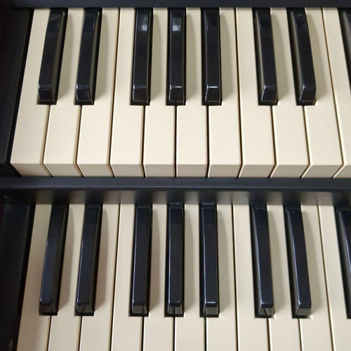 Electronic Organs Hammond Sk2