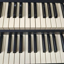 Electronic Organs Hammond Sk2