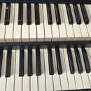 Electronic Organs Hammond Sk2