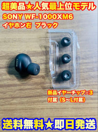 Wireless Earphones Sony Wf-1000Xm6 R