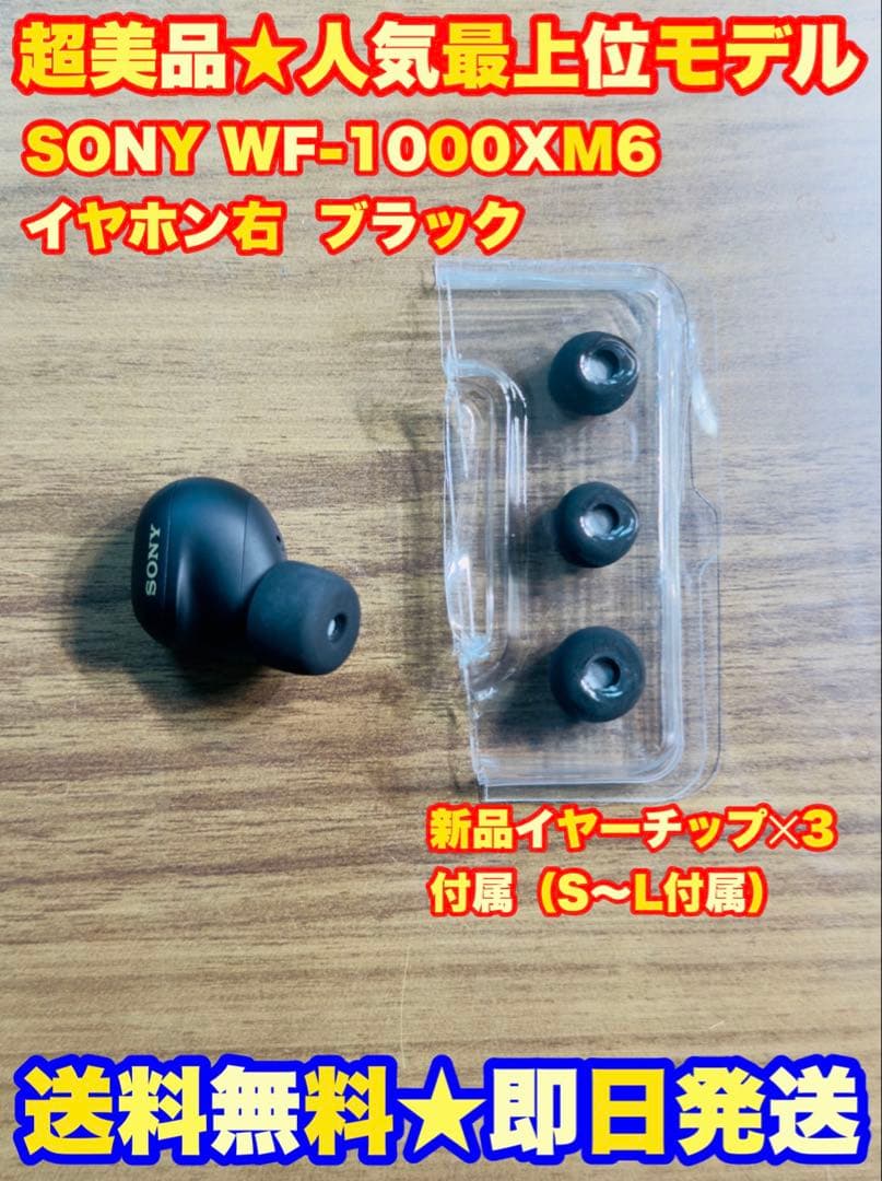 Wireless Earphones Sony Wf-1000Xm6 R