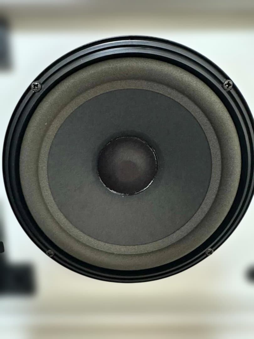 Bose Speaker Stands 301 Av_ Moniter 2