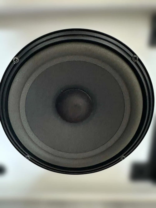 Bose Speaker Stands 301 Av_ Monitor 2