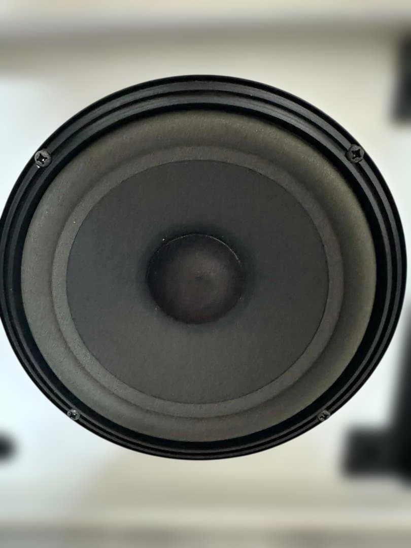 Bose Speaker Stands 301 Av_ Monitor 2