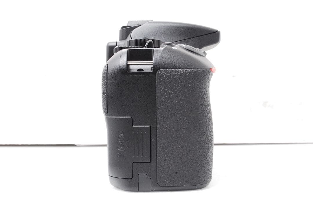 Nikon Digital Slrs D3500 Af-P