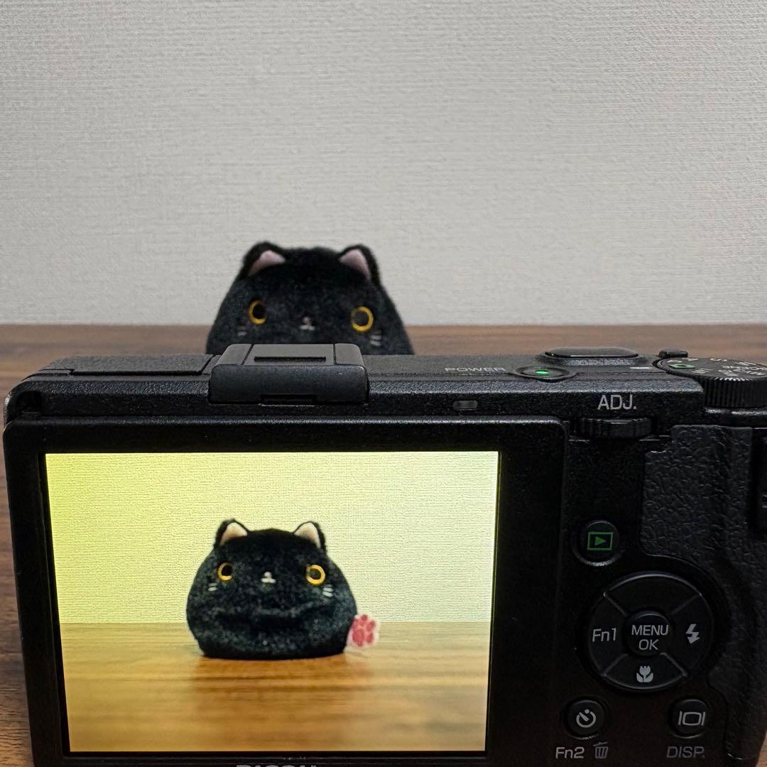 Ricoh Compact Digital Camera Gr Ccd