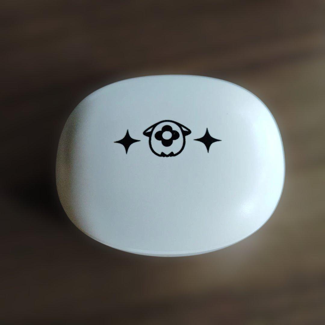 Wireless Earphones Onkyo