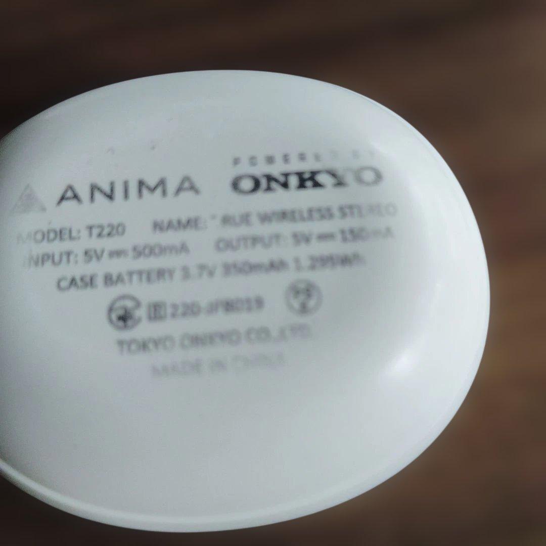 Wireless Earphones Onkyo