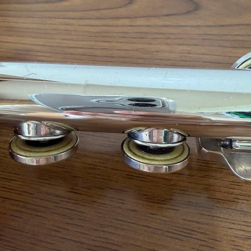 Yamaha Flutes Nikkan Imperiale