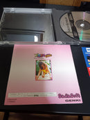 Sega Games Ss Disc Vol.4 Private Idol