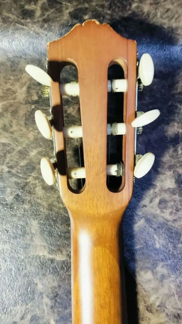 Acoustic Guitars Yamaha Guitalele Gl-1