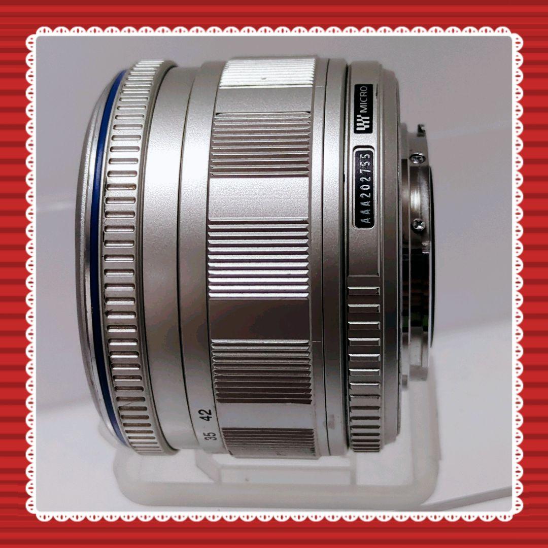 Olympus Mirrorless Interchangeable Lips E-Pl1 #0314
