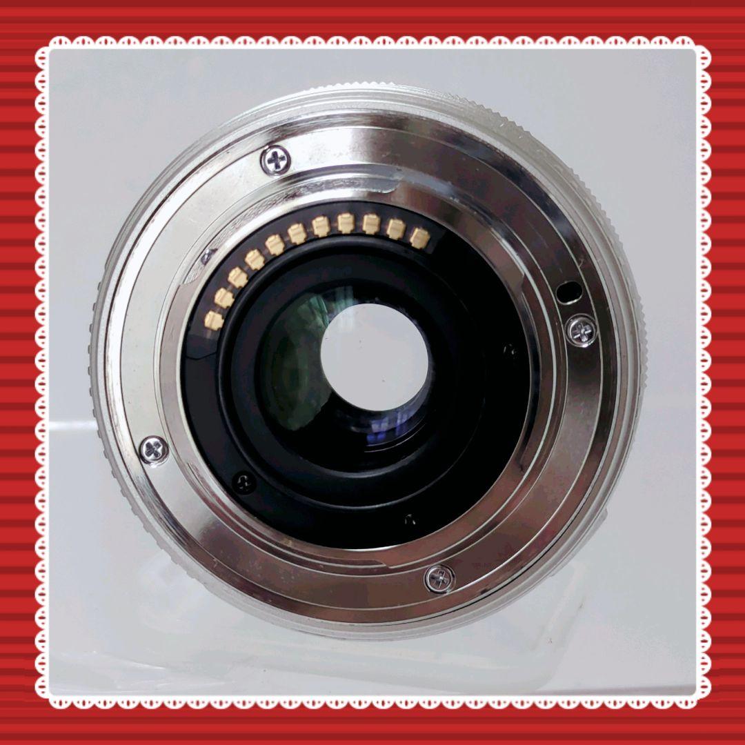 Olympus Mirrorless Interchangeable Lips E-Pl1 #0314