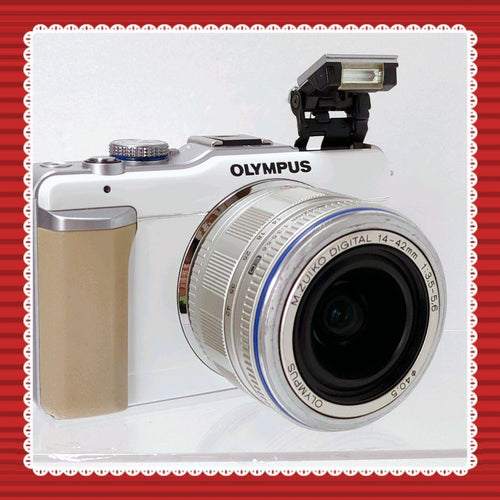 Olympus Mirrorless Interchangeable Lips E-Pl1 #0314