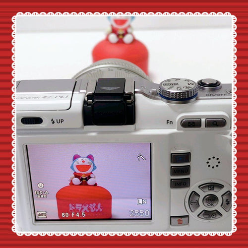 Olympus Mirrorless Interchangeable Lips E-Pl1 #0314
