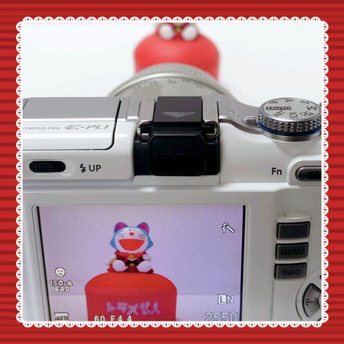 Olympus Mirrorless Interchangeable Lips E-Pl1 #0314