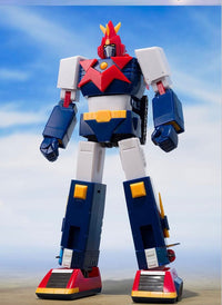 Premium Bandai Other V
