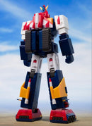 Premium Bandai Other V