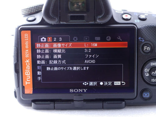 Sony Digital Slrs 55 Slt-A55V
