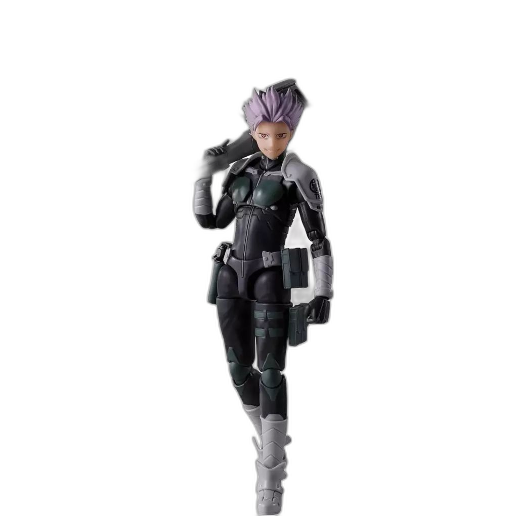Others S.H.Figuarts 8