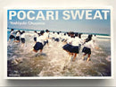 Art, Design Music Pocari Sweat