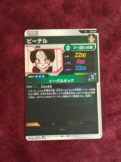 Other Apt-024