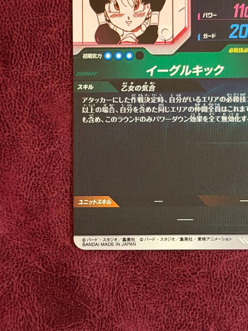Other Apt-024