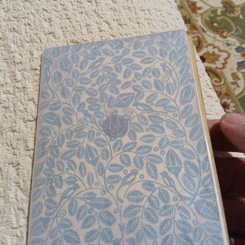 Literature Novel 22