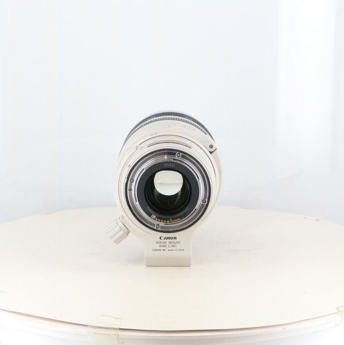 Canon Others Ef28-300/3.5-5.6L Is Usm