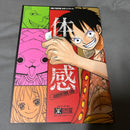 Illustrations One Piece