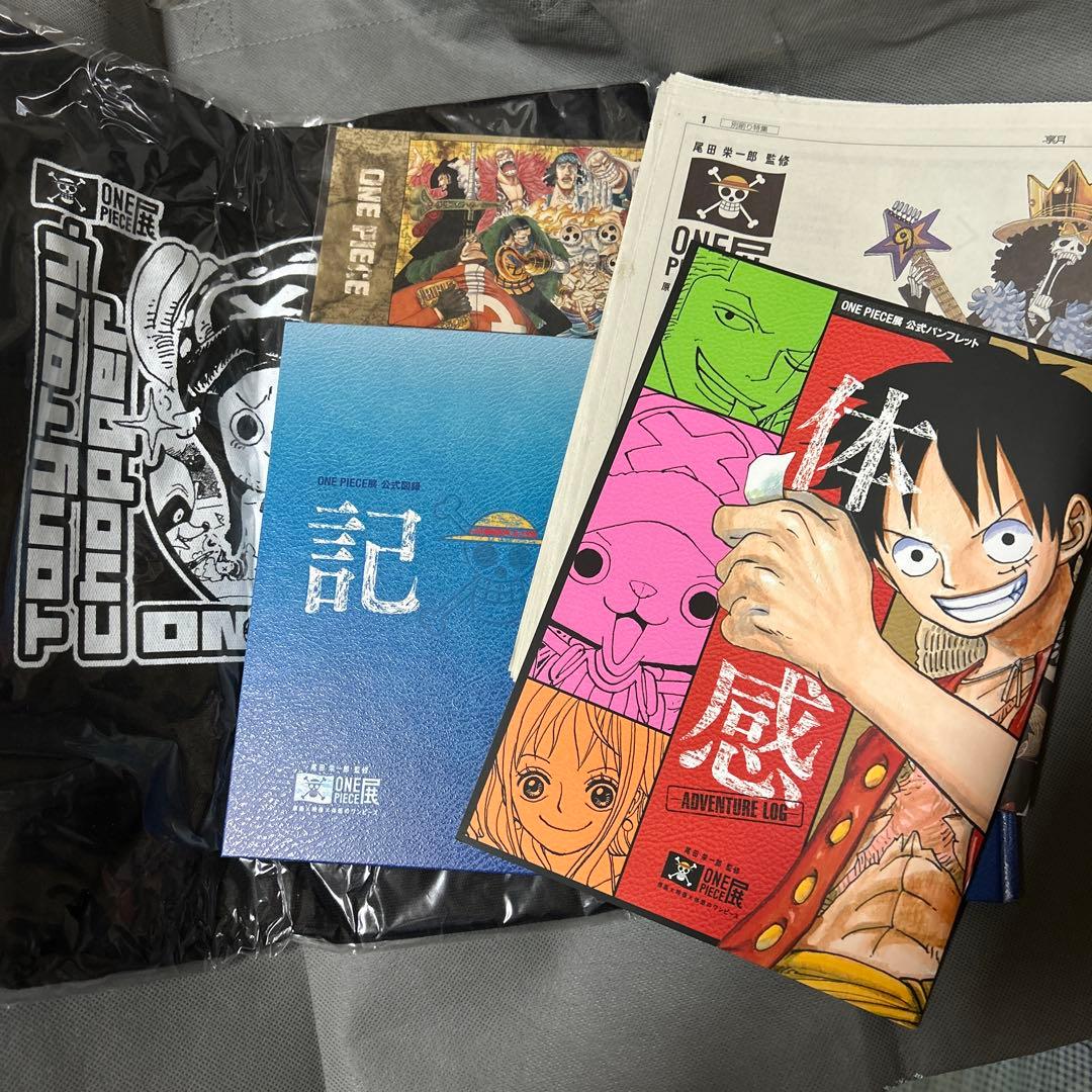 Illustrations One Piece